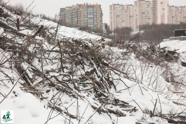 🏗🌳🚜

В овраге на улице Усилова вырубают деревья под строительство многоэтажных домов

25 января —..