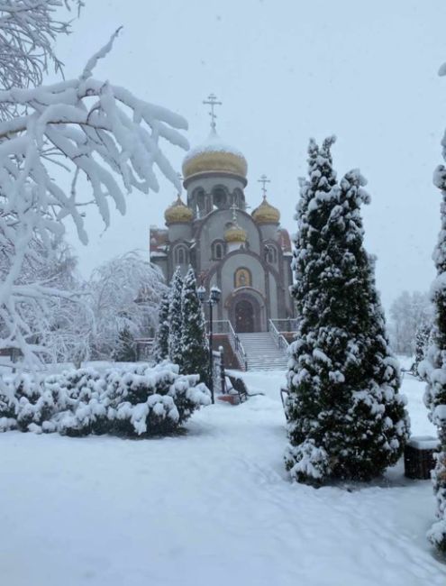 Февраль все же не отступает. В Ростовской области зима..