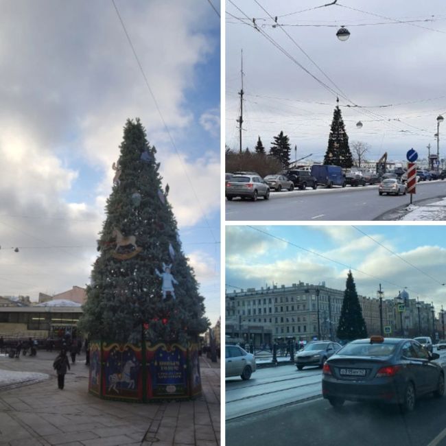 В Петербурге продолжаются новогодние праздники. Так можно подумать, глядя на ёлки, которые до сих пор стоят..