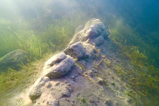 ✨Увлекательный подводный мир Нижегородских водоемов.
Силикатный карьер, который находится в городе..