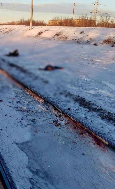 Поезд насмерть сбил девушку в наушниках в Красноярске

Все случилось утром 7 февраля между платформами..