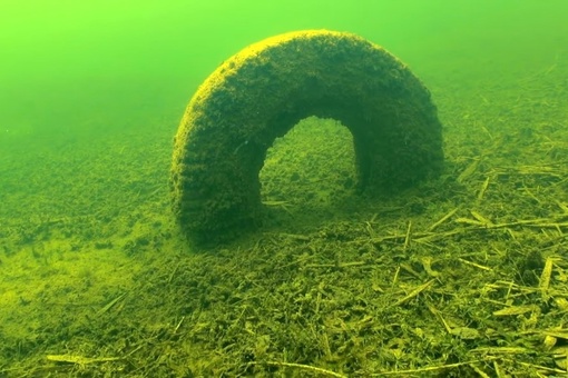 ✨Увлекательный подводный мир Нижегородских водоемов.
Силикатный карьер, который находится в городе..