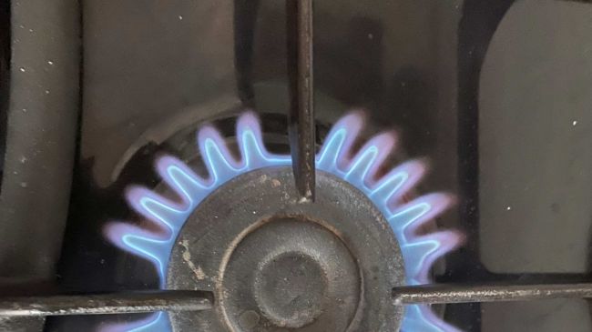 В Самаре проверят обоснованность тарифов за техобслуживание газового оборудования 

Расценки, которые были..