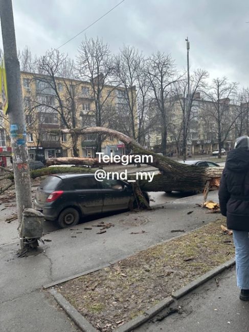 На Ленина, 60 упало дерево прямо на автомобиль. Движение..