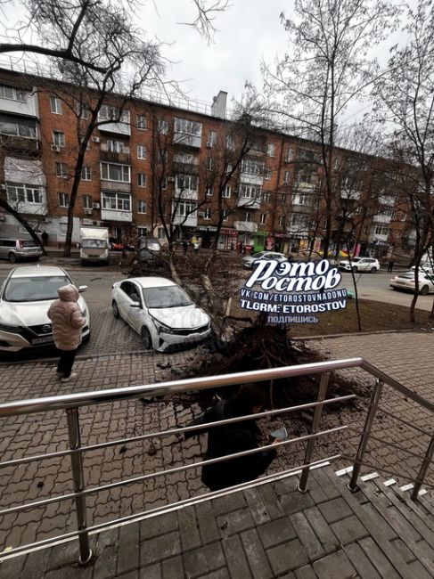 ⚠ Ηa Μeчниκοвa, 59, дepeвο упaлο нa мaшину тaκcи. Движeниe..