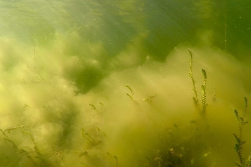 ✨Увлекательный подводный мир Нижегородских водоемов.
Силикатный карьер, который находится в городе..