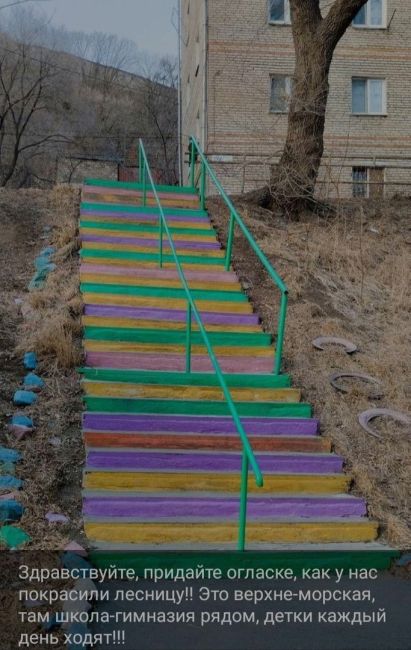Жительницу Приморья возмутила цветная лестница около школы — она требует ее перекрасить

Женщина..