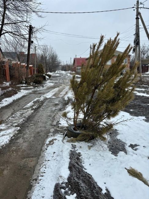 Удобное применение отжившим деревьям из Красного Сулина.

Ими закрывают колодцы, которые лишились..