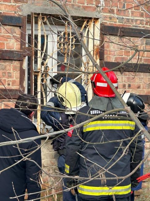 Так выдворяют домашних питомцев из обрушившегося дома в Ростове

Маленькие жители (собачки и кошки) все это..