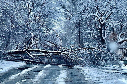 В части Ростовской области из-за ледяного урагана без света остались 195 тысяч жителей.

На утро 11 февраля..