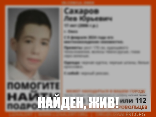Подростка, которого искали в Омске две недели, задержали в Новосибирске

Ранее отряд волонтеров «Лиза Алерт..