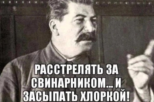 Киркоров спел участникам СВО в ДНР

Король эстрады, отменённый в РФ после «голой вечеринки», всё-таки нашёл..