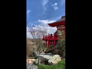 6 способов попасть в Японский сад в парке «Краснодар»

Автор petit...