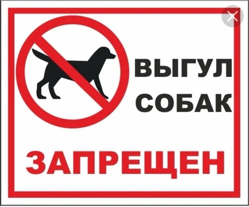 С 1 апреля в долине реки Большая Мотовилиха запретят свободно выгуливать собак и разводить костры. Новая..