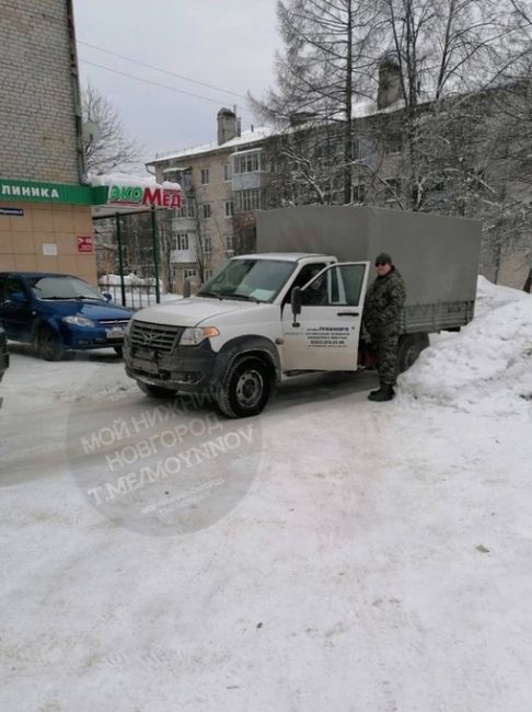 В Городце начался массовый отлов бродячих псов после того, как собаки загнали ребенка на крышу подъезда.

..