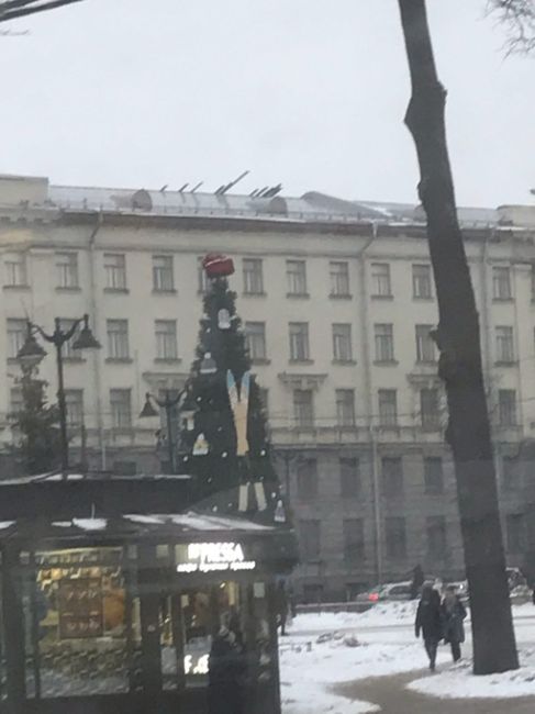 В Петербурге продолжаются новогодние праздники. Так можно подумать, глядя на ёлки, которые до сих пор стоят..
