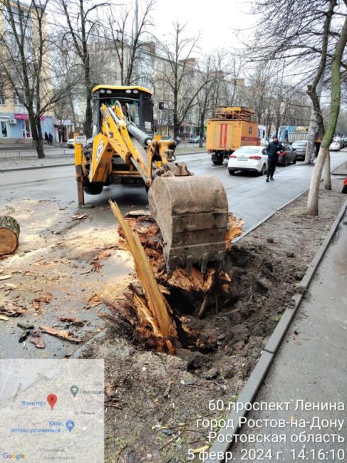 Упавшее на проезжую часть на проспекте Ленина, 60 большое дерево распилили и вывезли. Движение..