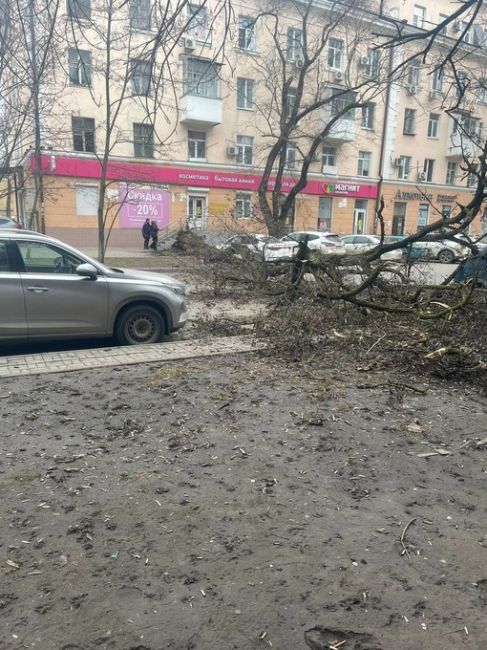 На улице Мечникова в Ростове на проезжую часть упало дерево. 

Огромный тополь опрокинулся у дома №59 и..