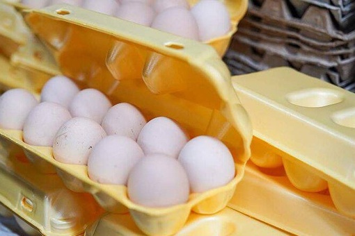 🥚 Основная часть импортных яиц не попала в российские торговые сети, так как была направлена на..