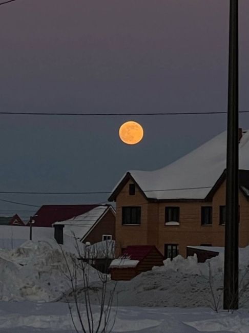 💙«Снежная» луна в небе над городом — последнее полнолуние зимы 

Видели..
