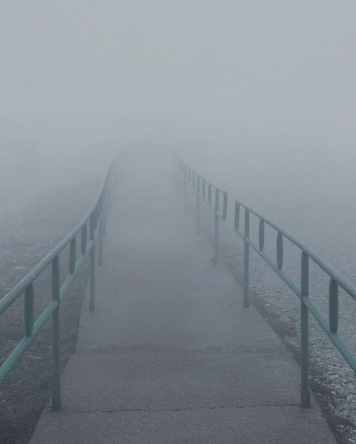 Прогулка по туманному лесу в Геленджике 👻

Тишина пронизана лишь шелестом сухих листьев под ногами и..