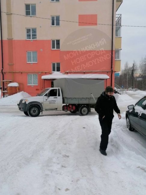 В Городце начался массовый отлов бродячих псов после того, как собаки загнали ребенка на крышу подъезда.

..