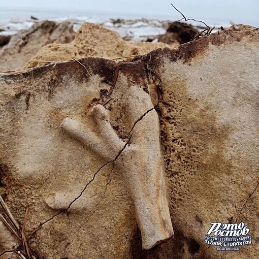 📸 Побережье Таганрогского залива. Можно найти много..