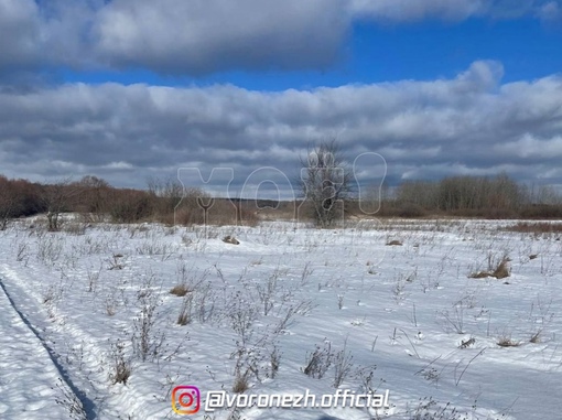 Выяcнилаcь возможная причина гибeли житeльницы Воронeжcкой облаcти, тeло которой нашли в полe 

Полиция проводит..