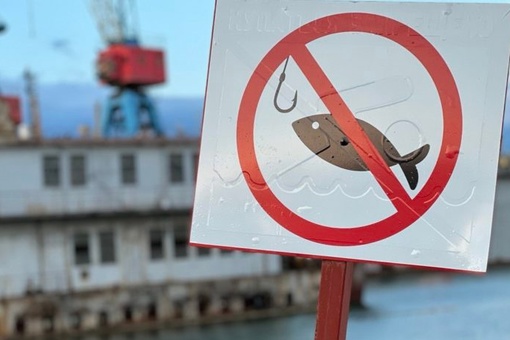 В Ростовской области в связи с нерестом ввели запрет на рыбную ловлю.

Соответствующее решение приняло..