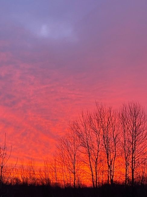 Скоро летние закаты 🌅

Фото: Артем..