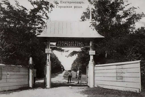 Вход в Чистяковскую рощу с южной стороны, 1913 год

Один из крупнейших парков Краснодара. Долгое время мы знали..
