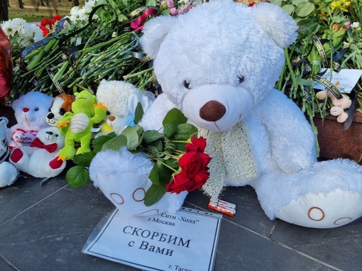 Так сегодня в Таганроге. Многие несут цветы и игрушки к мемориалу

Фото: тг/Андрей..