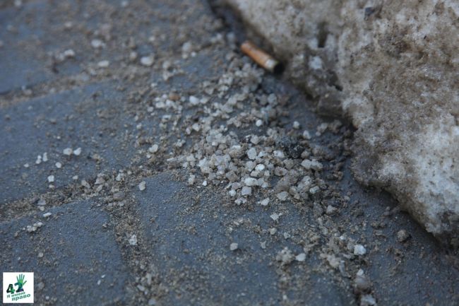 Эксперт рассказала, чем опасны остатки пескосоляной смеси на нижегородских дорогах

Передает «В городе..