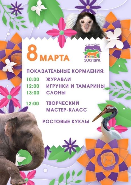 Международный женский день в ростовском зоопарке

В этот день будут проходить показательные кормления:
🌸..