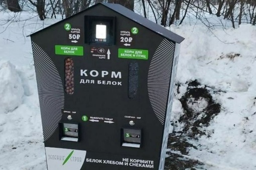 В омском парке установили автомат с кормом для белок

Порция орехов обойдется в 50 рублей, а горсть семечек..
