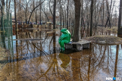 🗣️пришла весна
А вместе с ней и интересные моменты в городе 

￼фото: Наташа..