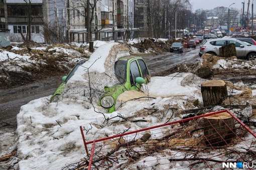 🗣️пришла весна
А вместе с ней и интересные моменты в городе 

￼фото: Наташа..