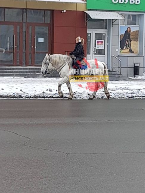 Ничего необычного, просто девушка едет верхом на лошади на пр. Маркса, возле «Каскада».

Новости без цензуры..