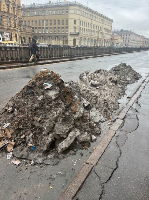 На набережной канала Грибоедова появился прижизненный памятник чиновникам, ответственным за уборку..