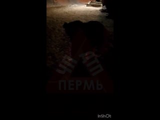 ‼️В сети разошлось видео как в Березниках малолетние отморозки избили девочку

Мама избитой девочки..