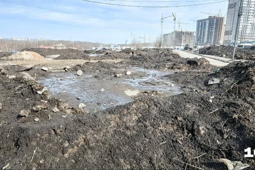 Склад грязи в Александровке, куда на площадку между жилыми многоэтажками свозили снег со всего города,..