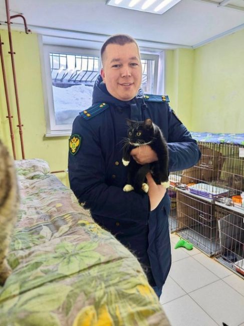 В Перми спасли кошку, которую бросили в электричке

Неизвестные закинули животное в пакет и бросили в..