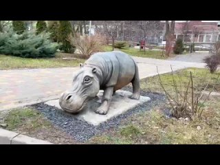 В Ростовском зоопарке в честь легендарного бегемота Рифа установили скульптуру

Она находится на лужайке..