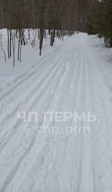 Весеннее обострение. Пусть Гайва знает своих "героев". Тройка неадекватов плевать хотела на лыжников, им..