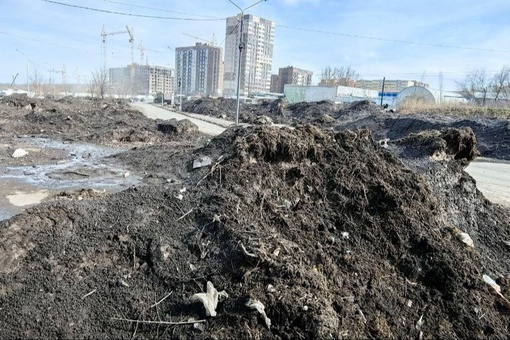 Склад грязи в Александровке, куда на площадку между жилыми многоэтажками свозили снег со всего города,..