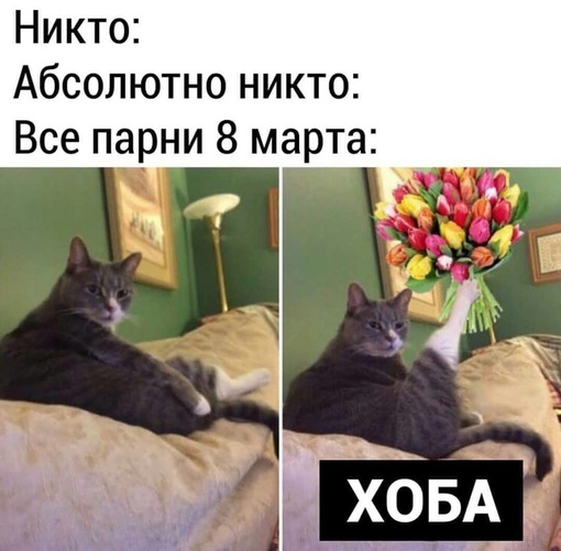 Завтра все мужчины..