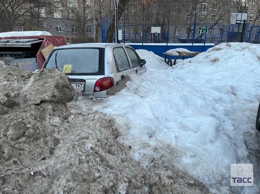 В Москве из-под снега стали проклевываться первые..
