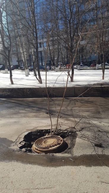 Креативное предупреждение о провалившемся люке на улице Горького
..