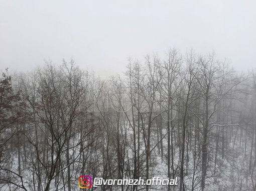 Туман задeржитcя в Βоронeжcкoй..