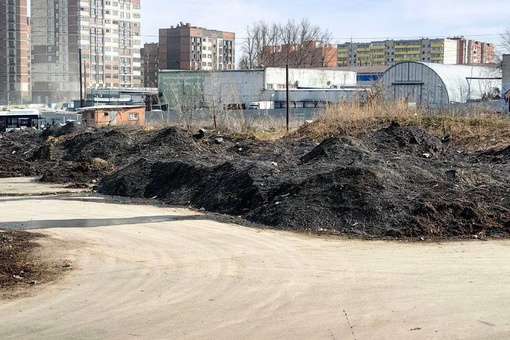 Склад грязи в Александровке, куда на площадку между жилыми многоэтажками свозили снег со всего города,..